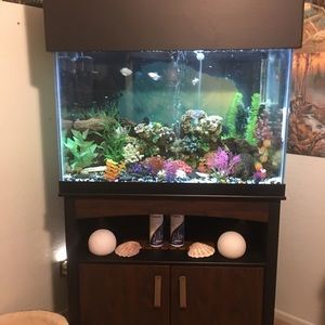 Meet your Posher, Jeffrey